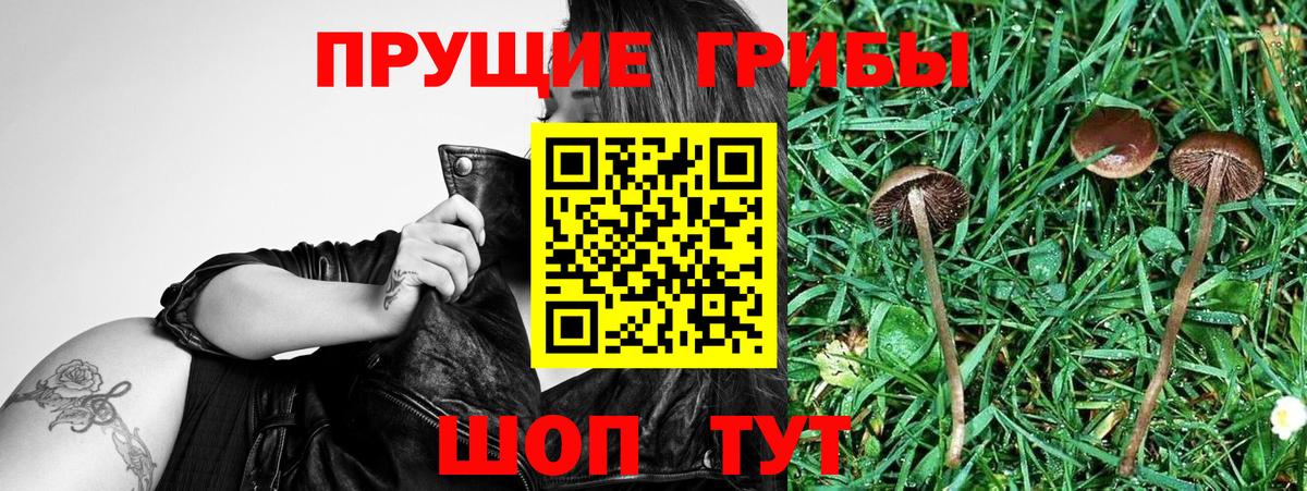 Галлюциногенные грибы прущие грибы Серпухов