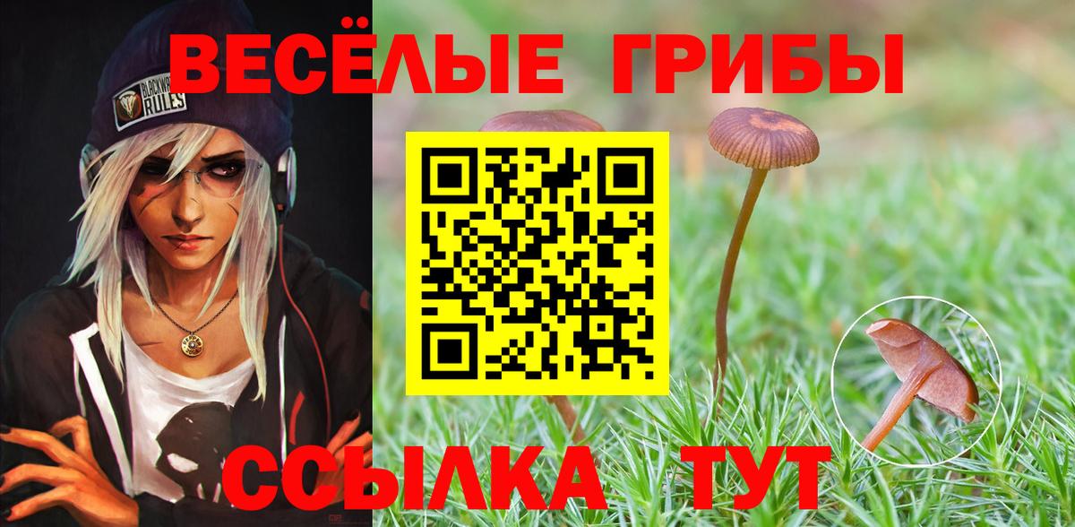Галлюциногенные грибы MAGIC MUSHROOMS  Вход с VPN  Серпухов  Псилоцибиновые грибы прущие грибы 